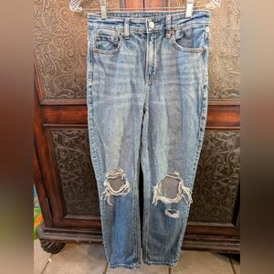 American Eagle Strigid mom jeans
